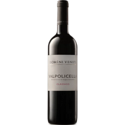 Domini Veneti - Valpolicella Classico Superiore 2019 0.75 l