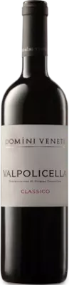 Domini Veneti - Valpolicella Classico Superiore 2019 0.75 l